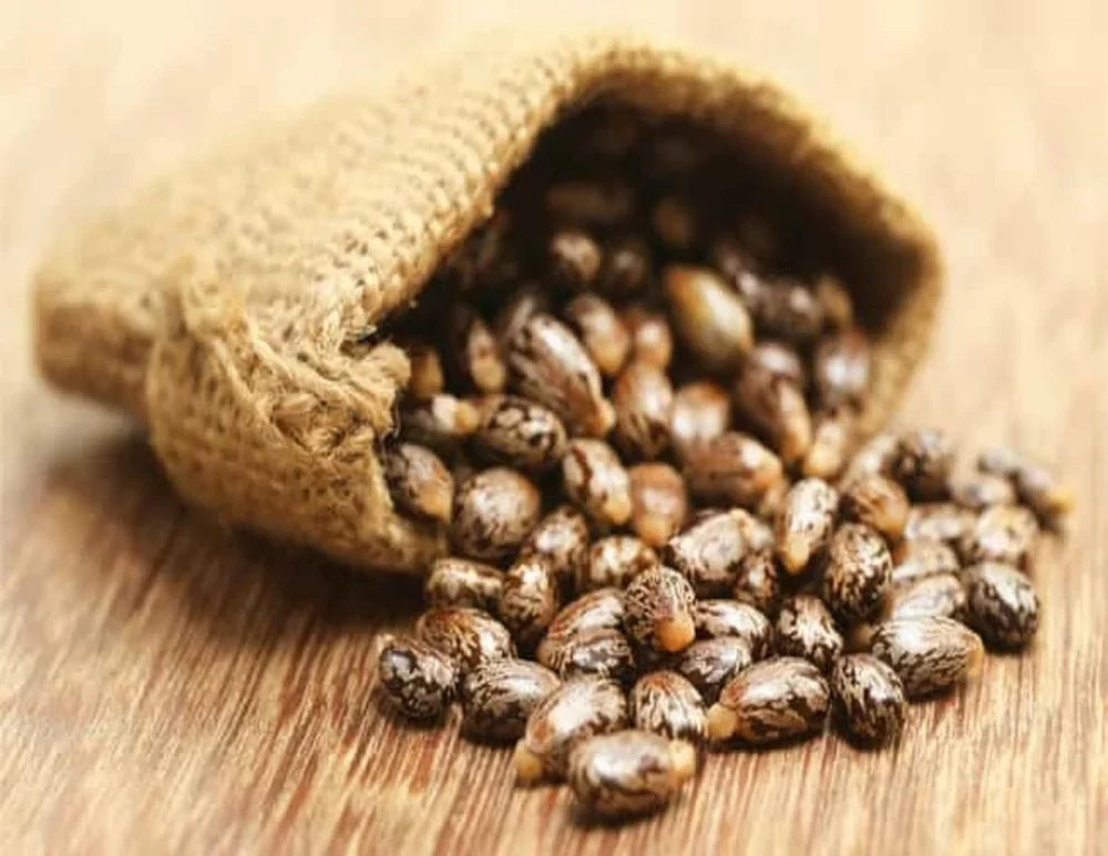 Castor Oil: A Timeless Staple for Hair, Beard, and Skin Care